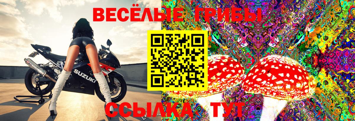 Саянск  Псилоцибиновые грибы мухоморы  Вход с VPN  купить   Псилоцибиновые грибы MAGIC MUSHROOMS 